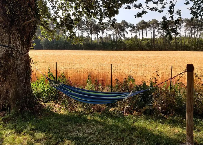 Tipi Apache Des Monteaux